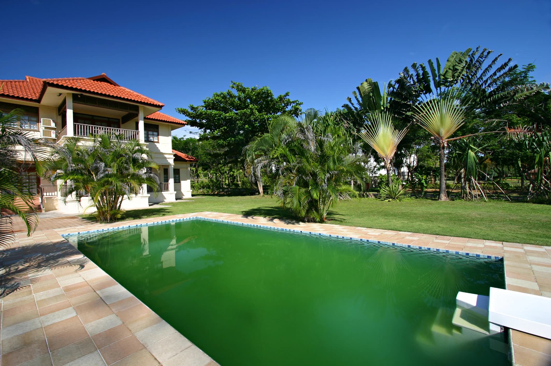 Green pool before cleaning